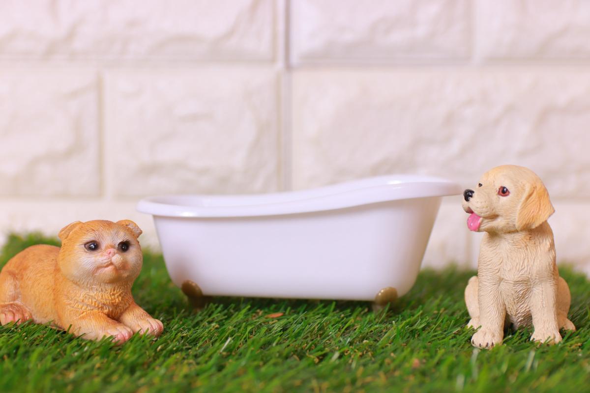 30ペットホテル